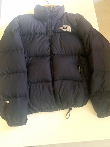 Retro the north face - north,