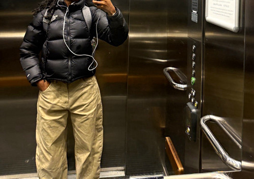 North face nuptse 700 - north,