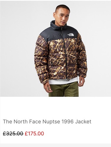 North face nuptse puffer 700 - north,